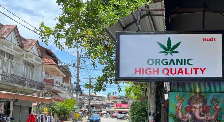 Thailand Plans to Ban Recreational Use of Cannabis