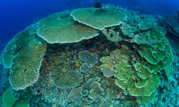 US Swaps IDR565 B Indonesia Debt for Marine Conservation