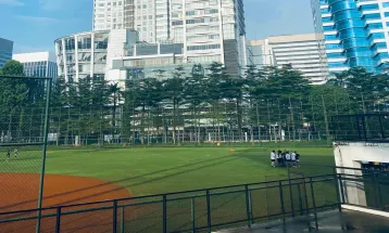 Dibuka untuk Umum, Ini 5 Aktivitas Seru di Lapangan Softball GBK