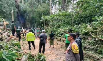 Monkey Forest Ubud Ditutup Sementara Imbas Pohon Tumbang yang Tewaskan 2 Turis Asing