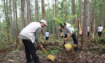 Eco-Action in Nusantara: OIKN Plants 600 Trees in Tropical Rainforest Miniature