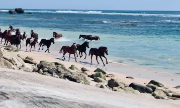 Sumba Puncaki Daftar Tempat Terbaik untuk Dikunjungi di Asia 2025 Versi Time Out